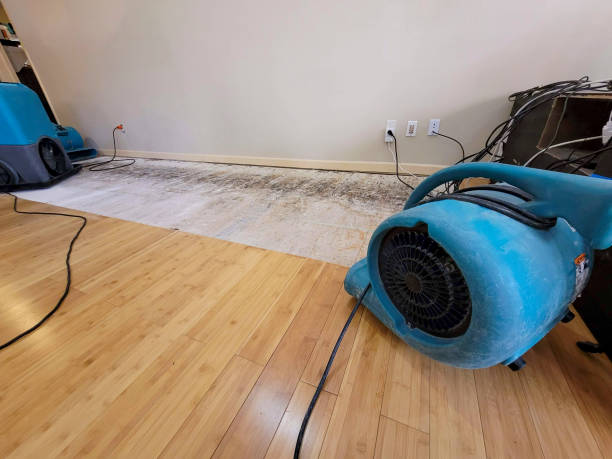Reliable Basement Flood Cleanup contractor in Voorhees, NJ by Hirex Water Damage