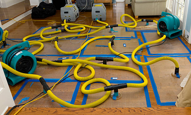 Professional Basement Flood Cleanup technician working in Voorhees, NJ